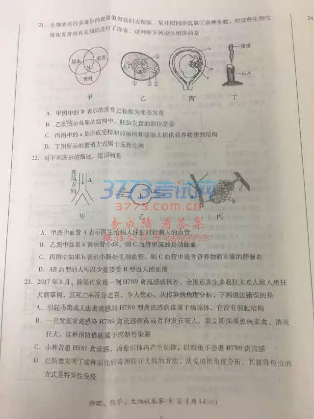 2017_пWԇ𰸽